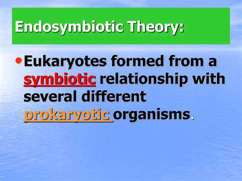 TheImpactonBusinessesandConsumers:ASymbioticRelationship